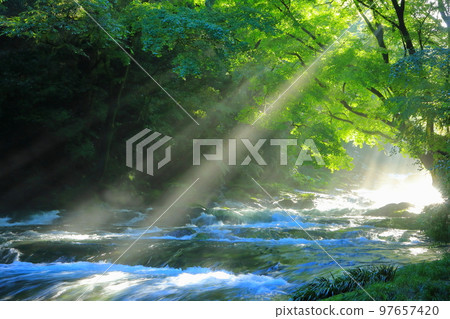 Kikuchi Valley in summer Kikuchi Valley in summer 97657420