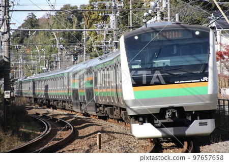 JR East E233 Series 3000 Series/Shonan Shinjuku Line JR East E233 Series 3000 Series/Shonan Shinjuku Line 97657658