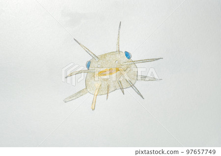 來自日本魚類世界的大量魚類 來自日本魚類世界的大量魚類 97657749