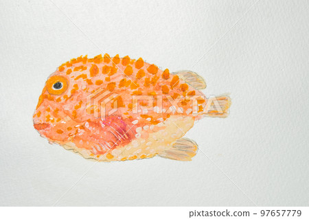 來自日本魚類世界的大量魚類 來自日本魚類世界的大量魚類 97657779