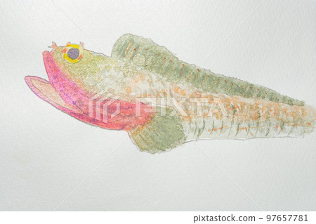 來自日本魚類世界的大量魚類 來自日本魚類世界的大量魚類 97657781