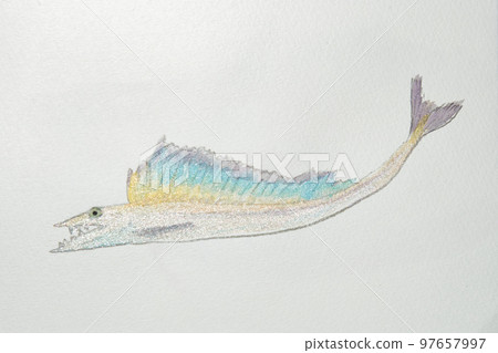 來自日本魚類世界的大量魚類 97657997