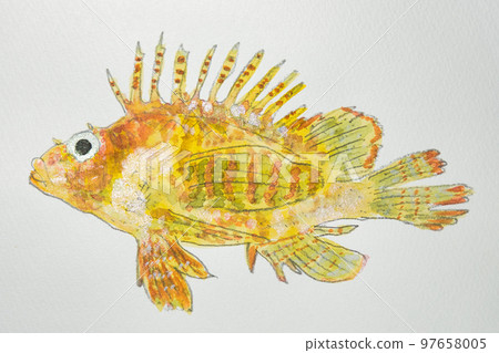 來自日本魚類世界的大量魚類 來自日本魚類世界的大量魚類 97658005
