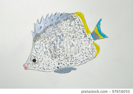 Large collection of fish from the world of fish in Japan 97658050