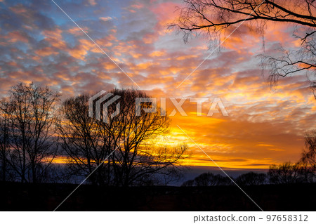 Colorful multicolor sunset behind silhouettes of trees Colorful multicolor sunset behind silhouettes of trees 97658312