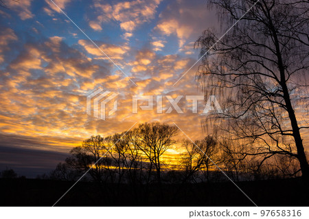 Colorful multicolor sunset behind silhouettes of trees Colorful multicolor sunset behind silhouettes of trees 97658316