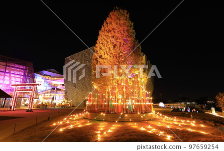 所澤櫻花町樹點亮 97659254