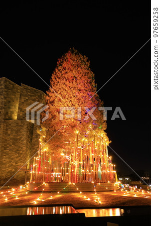 所澤櫻花町樹點亮 97659258