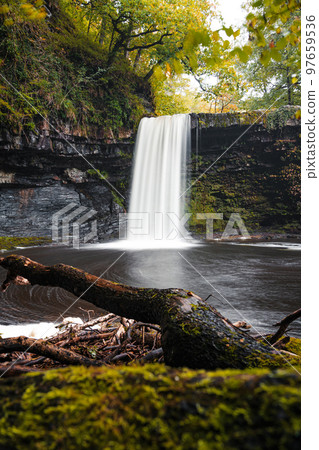 Sgwd Gwladys waterfall or Lady Falls in Brecon Beacons National Park, the Vale of Neath. South Wales, the United Kingdom. Four Waterfalls walk. 97659536