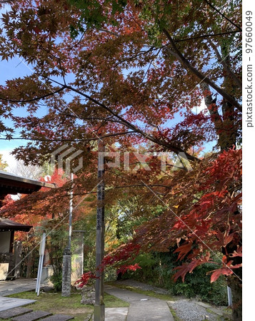 秋西小京都相生善光寺 秋西小京都相生善光寺 97660049