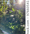 Gardening section image of the store 97660541