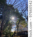 Autumn leaves in a residential area on the outskirts of Tokyo 97660542