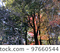 Autumn leaves in a residential area on the outskirts of Tokyo 97660544