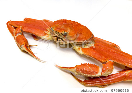 紅雪蟹 紅雪蟹 97660916