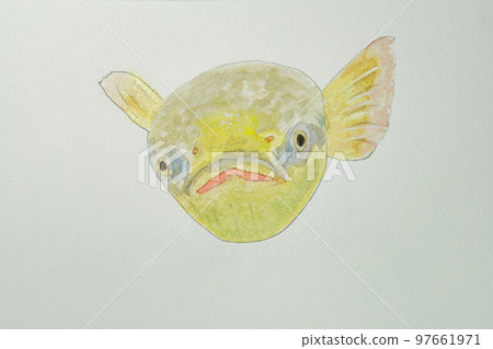 Large collection of fish from the world of fish in Japan Large collection of fish from the world of fish in Japan 97661971