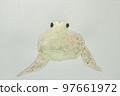 Large collection of fish from the world of fish in Japan 97661972