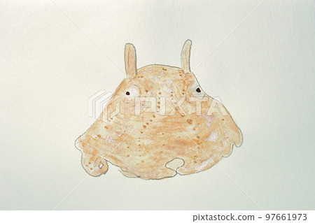 Large collection of fish from the world of fish in Japan 97661973