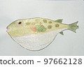 Large collection of fish from the world of fish in Japan 97662128