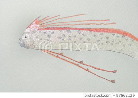 Large collection of fish from the world of fish in Japan 97662129