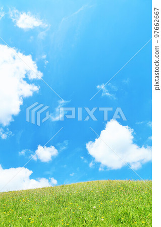 初夏的藍天和清新的綠草甸風光 97662667