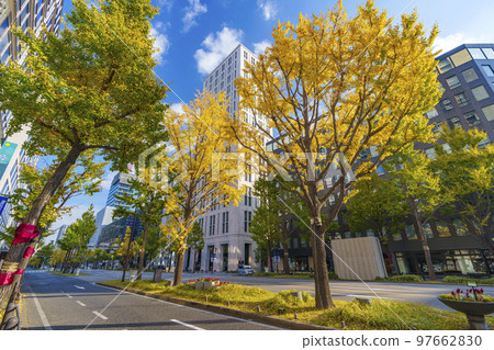 Midosuji in autumn Ginkgo trees lined with yellow 97662830