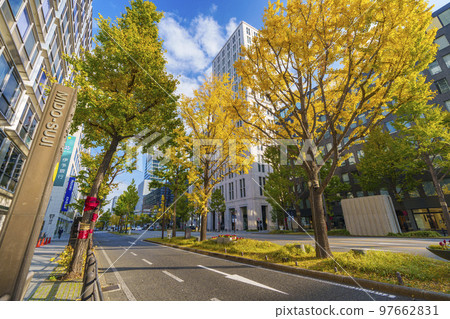 Midosuji in autumn Ginkgo trees lined with yellow 97662831
