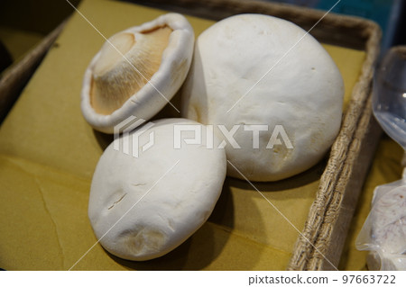 菇類 菇類 97663722