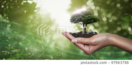Hand, palm and tree for nature sustainability, eco friendly or care, nurture or conservation of environment. Earth day, climate change or sustainable future with woman holding plants in soil for agro Hand, palm and tree for nature sustainability, eco friendly or care, nurture or conservation of environment. Earth day, climate change or sustainable future with woman holding plants in soil for agro 97663786