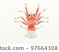 Large collection of crustaceans from Japan and the world 97664308