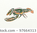 Large collection of crustaceans from Japan and the world 97664313
