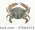 Large collection of crustaceans from Japan and the world 97664314