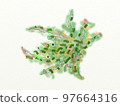 Large collection of crustaceans from Japan and the world 97664316