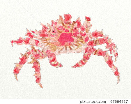 Large collection of crustaceans from Japan and the world 97664317