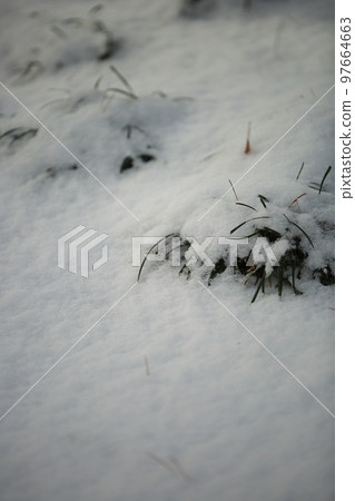 winter landscape, winter wonderland winter landscape, winter wonderland 97664663