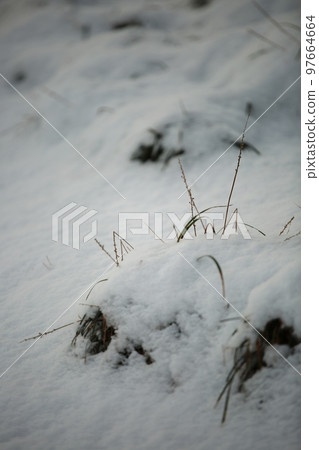 winter landscape, winter wonderland 97664664