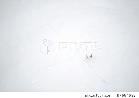 winter landscape, winter wonderland winter landscape, winter wonderland 97664682