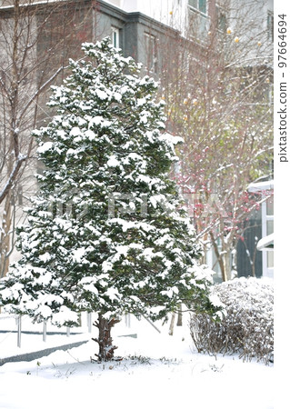 winter landscape, winter wonderland winter landscape, winter wonderland 97664694