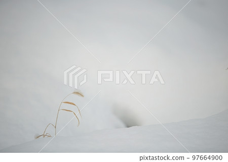 冬季仙境,冬季景觀 冬季仙境,冬季景觀 97664900