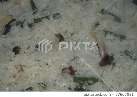 Wild vegetable owl 97665081