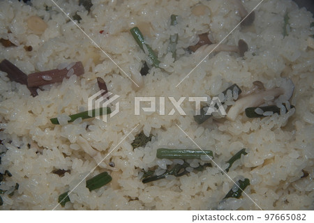 野生蔬菜貓頭鷹 野生蔬菜貓頭鷹 97665082