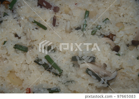 Wild vegetable owl 97665083