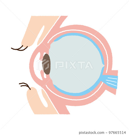 Eye structure 97665514