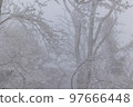 Snow makeup 97666448