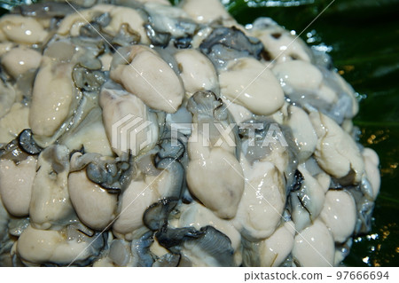 牡蠣 牡蠣 97666694