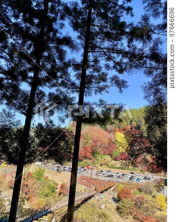 樹蔭下的紅葉充滿生機<大平公園/愛知縣豐田市稻部町> 97666696