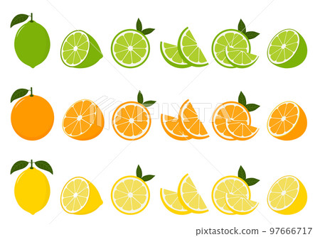 Big vector set of citrus fruits.Orange,lemon and lime icons on white background 97666717