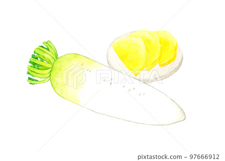 Daikon radish and pickled radish set Hand-drawn watercolor illustrations of vegetables and pickles Daikon radish and pickled radish set Hand-drawn watercolor illustrations of vegetables and pickles 97666912