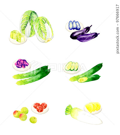 Set of vegetables and pickles Hand-drawn watercolor illustration material collection 97666917