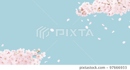 櫻花插畫寫實 97666933