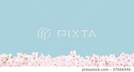 cherry blossom illustration realistic cherry blossom illustration realistic 97666946